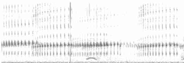 Tundra Swan (Whistling) - ML460963011