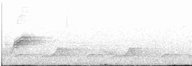 Schwarzkehl-Nachtschwalbe - ML461063911