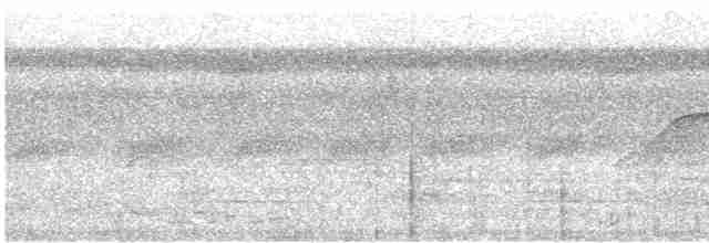 Шуліка-зубодзьоб рудогрудий - ML461115301