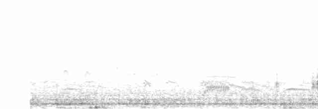 Great Reed Warbler - ML461151601