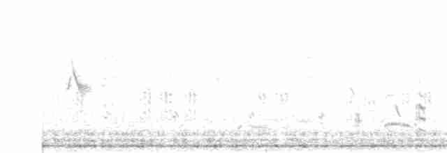 Great Reed Warbler - ML461151611