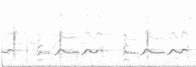 ハジロオオシギ（inornata） - ML461200441