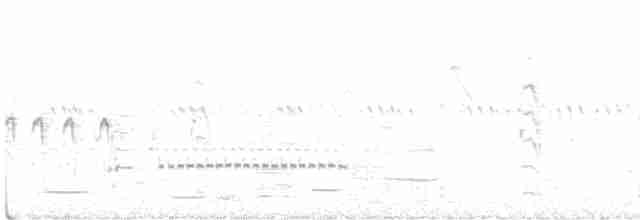 Trauerseeschwalbe - ML461200551