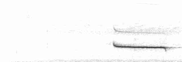 Slaty-capped Shrike-Vireo - ML46120171