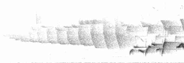 Troglodyte à poitrine grise - ML46120681