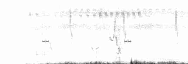 Щетинистая долгохвостка - ML461252291