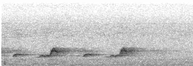 Schwarzkehl-Nachtschwalbe - ML461305191