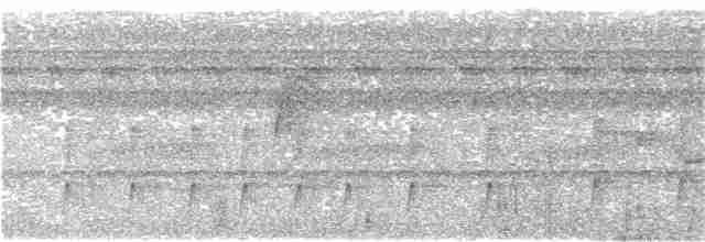 Uzun Taçlı Tiran - ML46131201