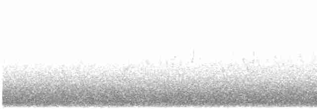 White-chinned Swift - ML461427011