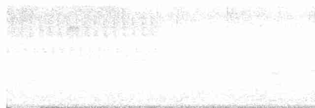 Cerulean Warbler - ML461438811