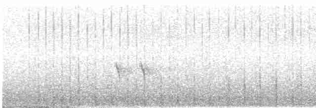 Red Crossbill (Parakeet or type E) - ML461449771