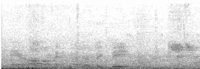 Малый галапагосский вьюрок - ML461504501