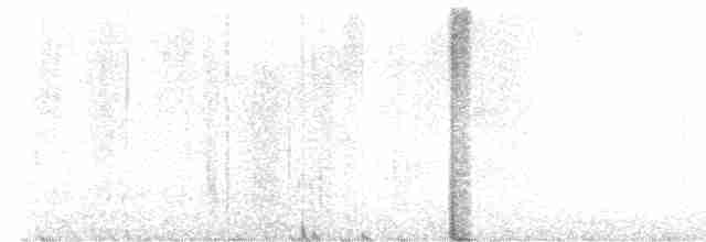 eremittskogtrost (guttatus gr.) - ML461518731