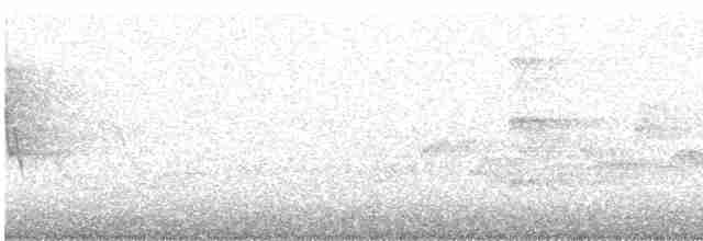 Troglodyte de Baird - ML461566241