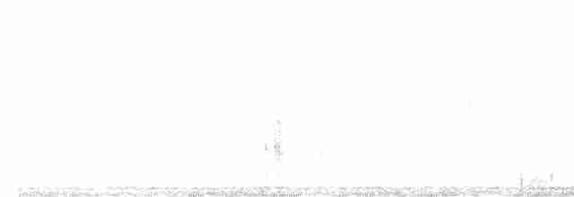 Aquatic Warbler - ML461572641