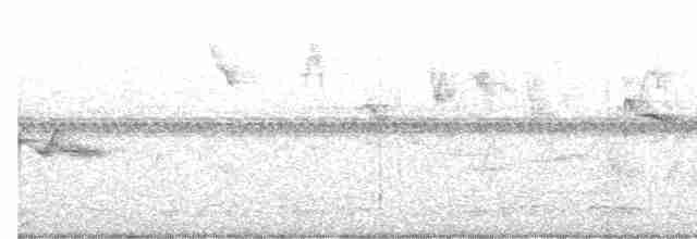 Grauband-Ameisenvogel - ML461592501