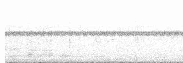 Grauband-Ameisenvogel - ML461592511
