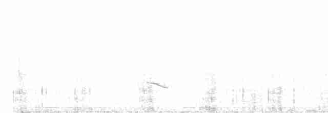 Sturnella meadowlark sp. - ML461671631