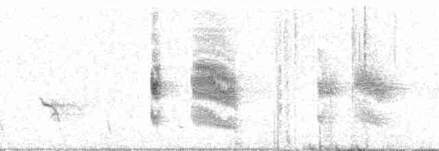 Tinamou des Andes - ML46168