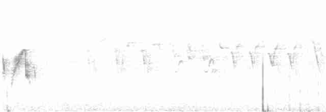 tyranovec olšový - ML461715741