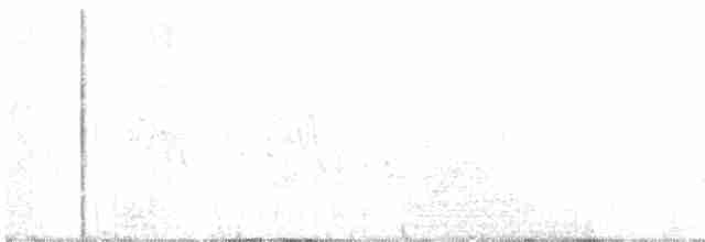 Büyük Çil Yelvesi - ML461776601