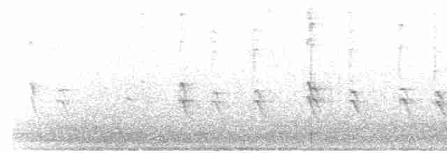 "Шишкар ялиновий (Northeastern, або тип 12)" - ML461899991