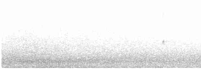 "Шишкар ялиновий (Northeastern, або тип 12)" - ML461900001