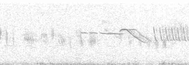 Сокіл плямистокрилий - ML46191