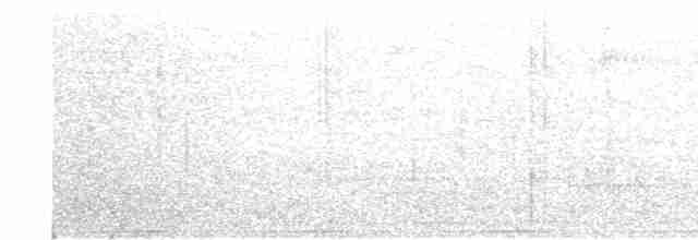 Сероголовая перепелиная горлица - ML461919541