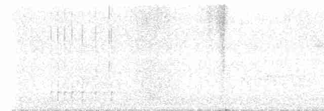 Cerulean Warbler - ML461930391