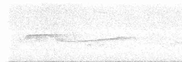 Cerulean Warbler - ML461931011