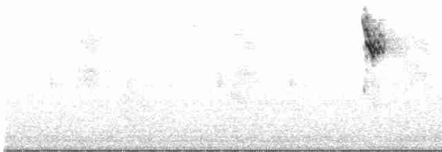 drozdec černohlavý - ML461953851