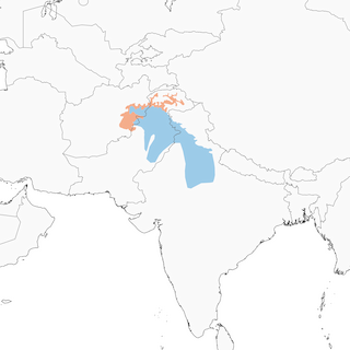 Distribution of the&nbsp;Brooks's Leaf Warbler - Range Map