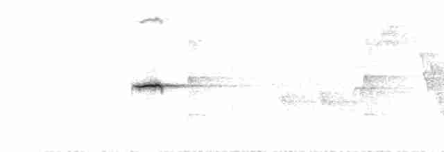 Common Redstart (Ehrenberg's) - ML461960011