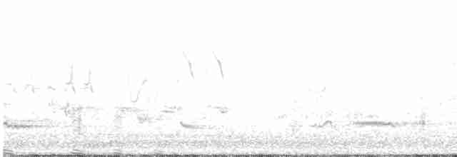 Great Reed Warbler - ML461970391