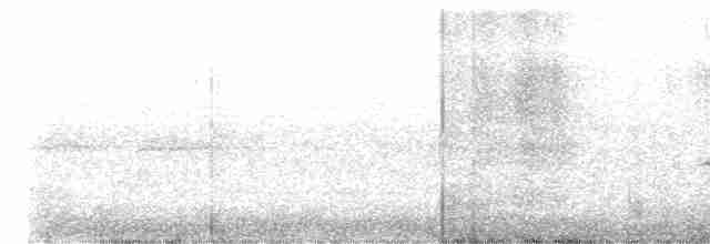 Turuncu Ardıç - ML462007591
