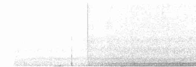 Шлемоносная цесарка (Одомашенного типа) - ML462117791