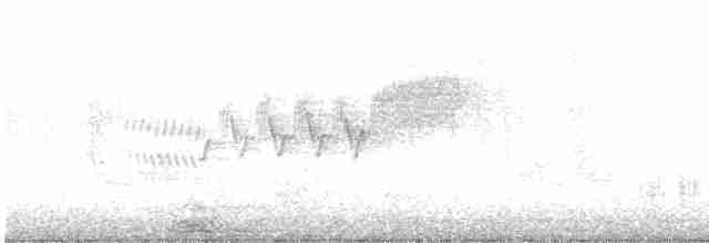 Cerulean Warbler - ML462130441
