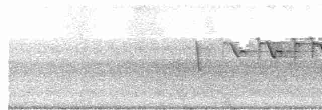 Yellow-throated Warbler - ML462130461