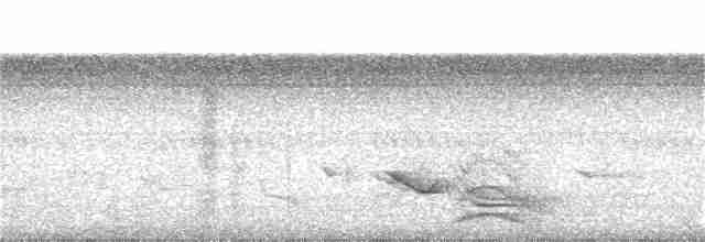 Cichladuse à collier - ML46222011