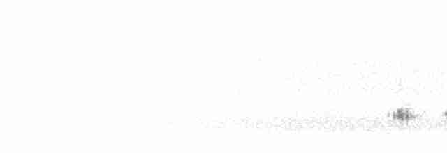 Great Reed Warbler - ML462297371