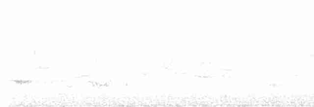 Mönchsgrasmücke - ML462312031