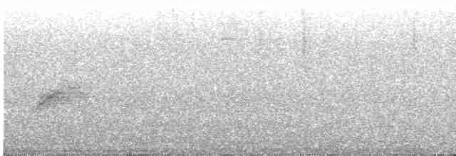 Бурый соловьиный дрозд - ML462344691