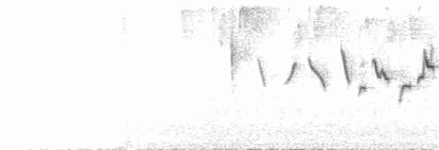 Ошейниковая канделита - ML46236571