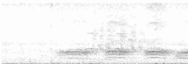 Cratérope de brousse (groupe striata) - ML462384561