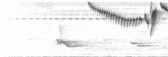 Band-tailed Barbthroat - ML46239581