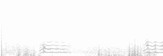 Labbe antarctique - ML462433051