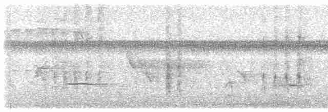 Oriole des vergers - ML462433251