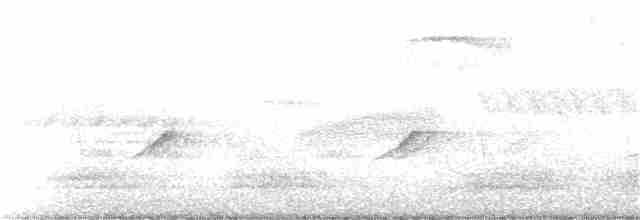 Ring-necked Pheasant - ML46244791