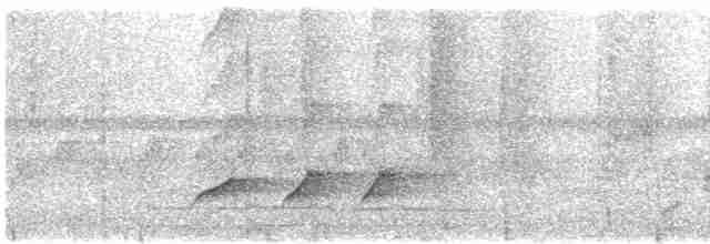 Dusky Long-tailed Cuckoo - ML462467121